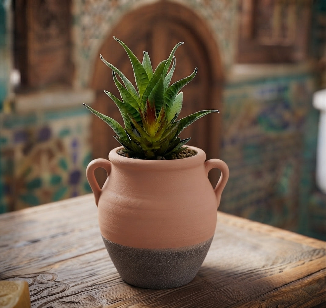 Plante en Pot de Terre Cuite – Déco Naturelle