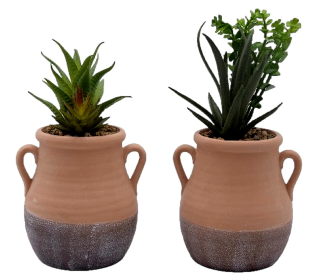 Plante en Pot de Terre Cuite – Déco Naturelle